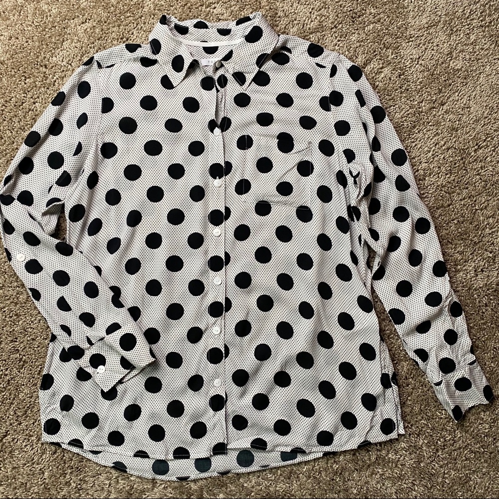 Foxcroft Polka Dot Button-Down Blouse Sz 4 - Picture 3 of 8